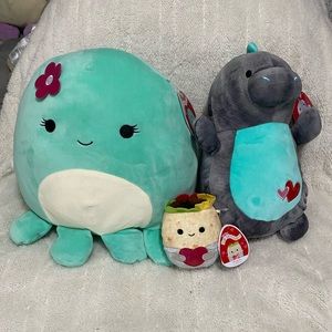 Squishmallow Valentine’s Day bundle